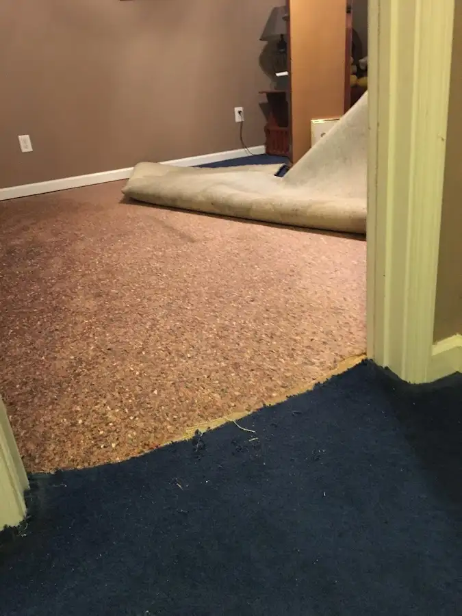 Carpet pad removal revealing water damage during Drying & Dehumidification in Marlboro